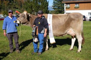 007Andre u Timi Halter